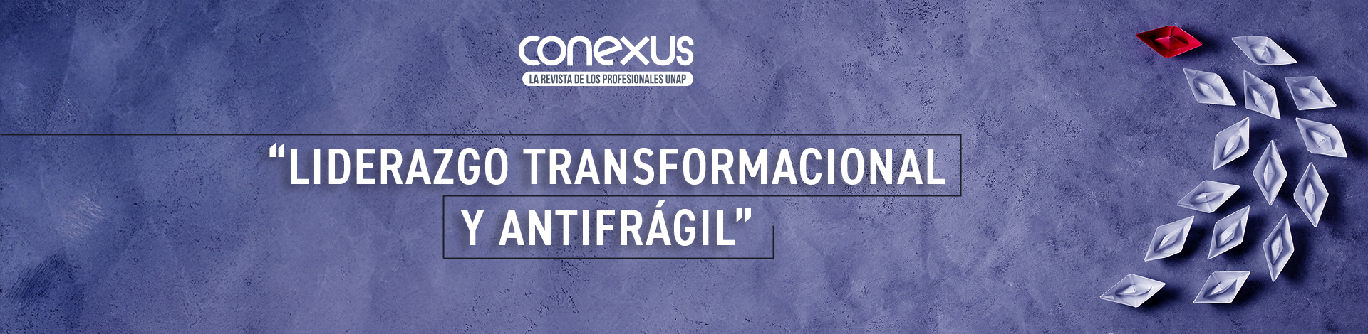 banner revista conexus